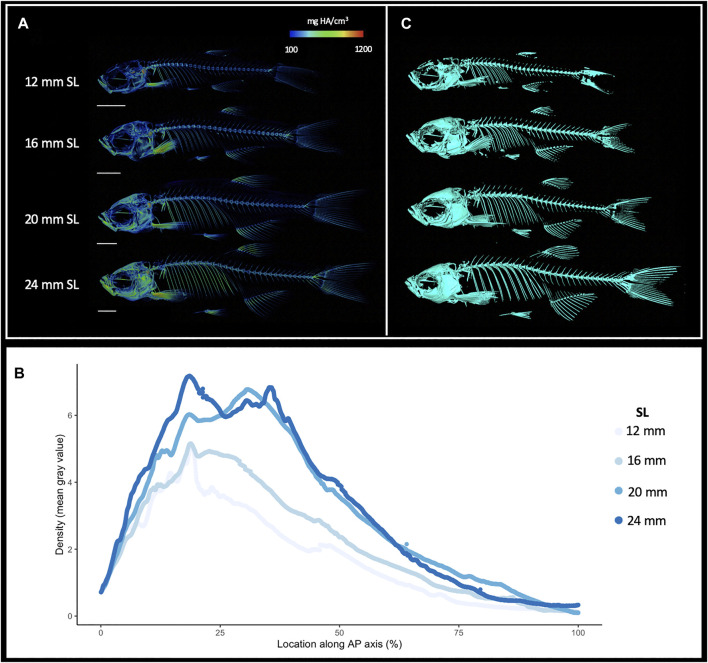 FIGURE 2