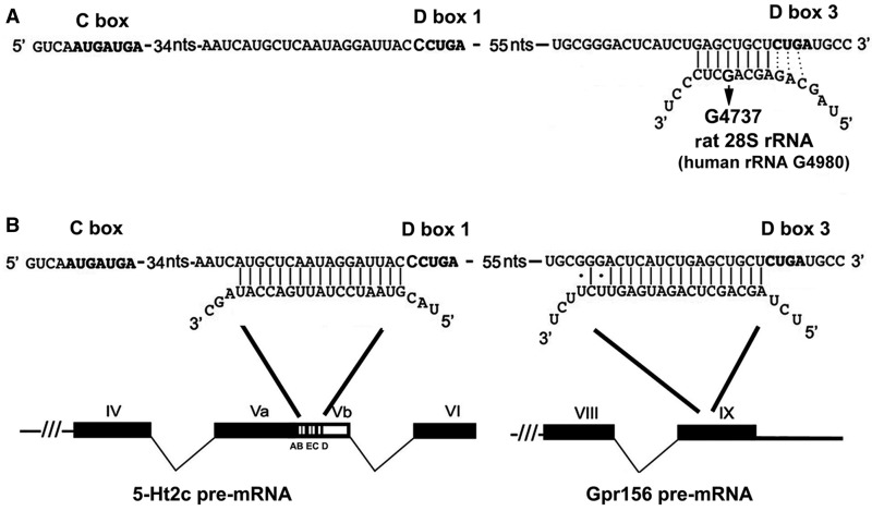 Fig. 4.—