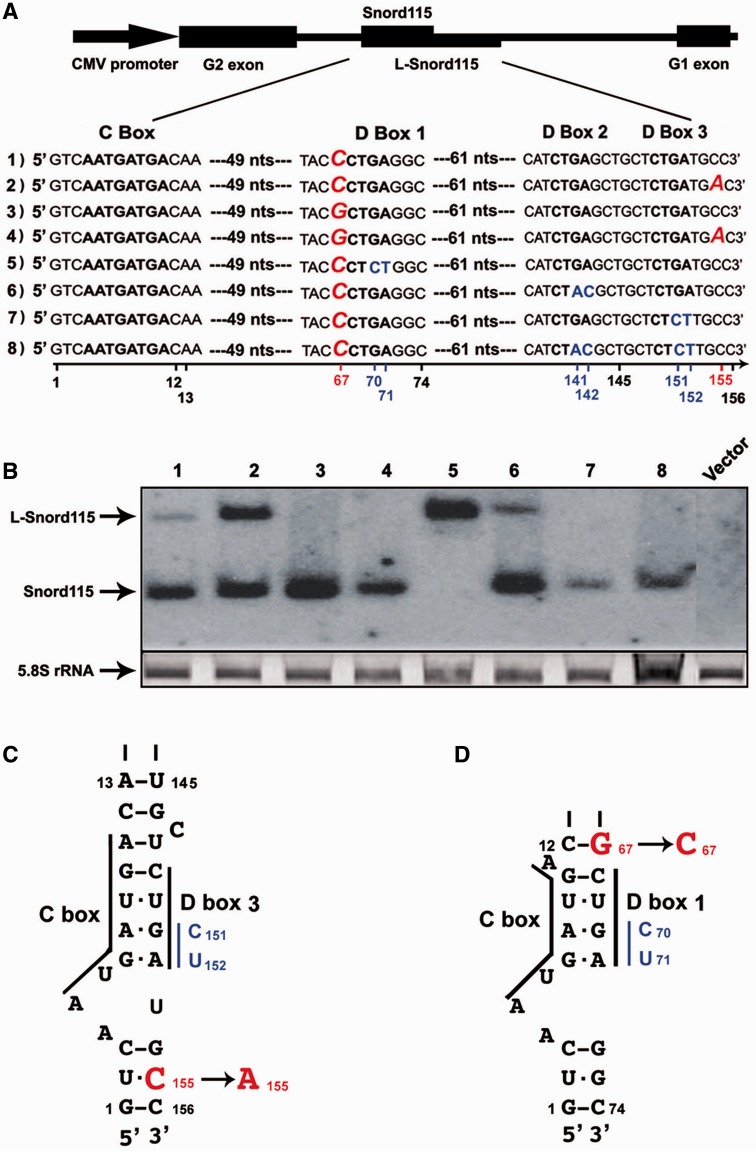 Fig. 2.—