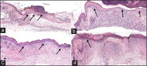 Figure 6: