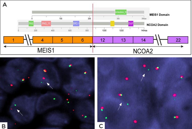 Figure 3: