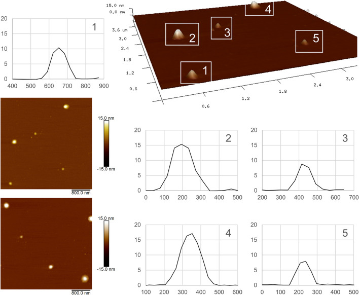 FIGURE 2