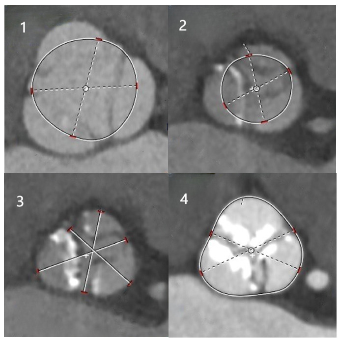 Fig. 2.
