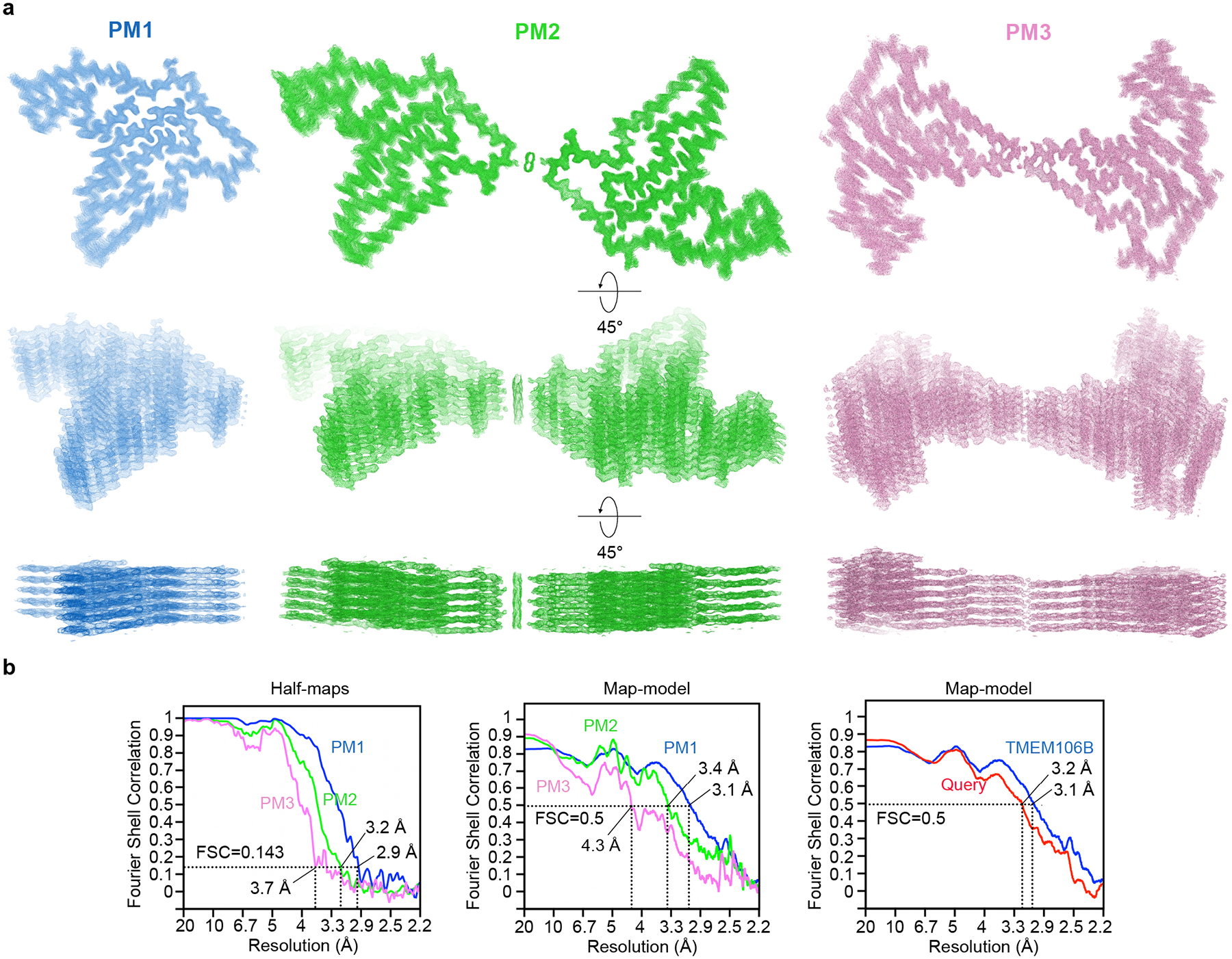 Extended Data Fig. 5