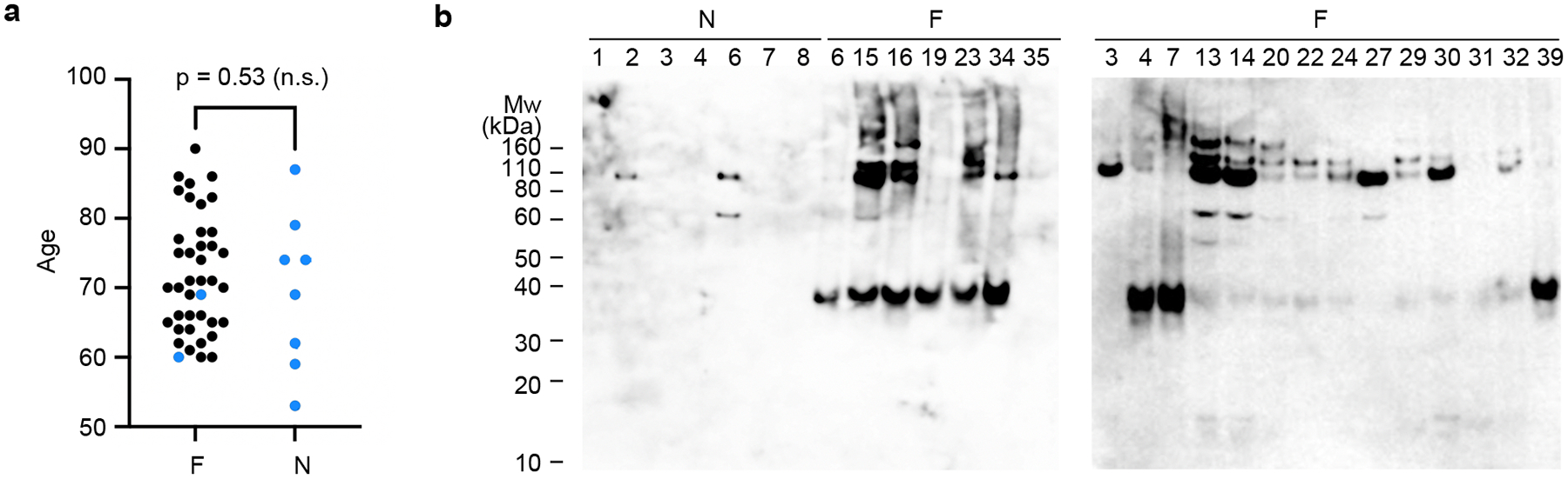 Extended Data Fig. 1