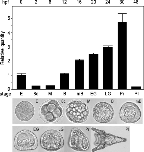 Fig. 2