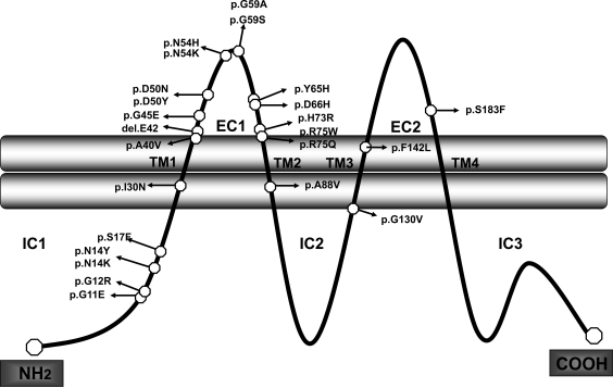 Fig. (3)