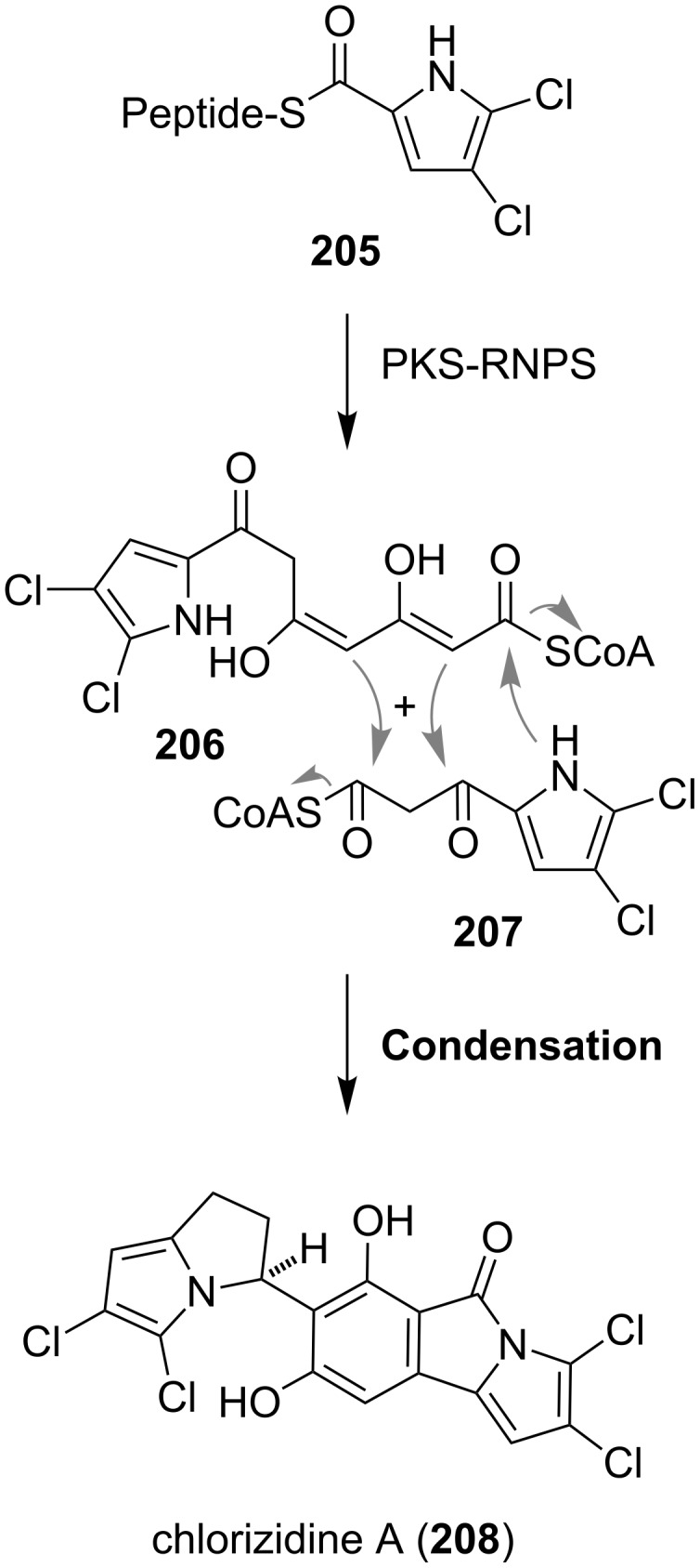 Scheme 27