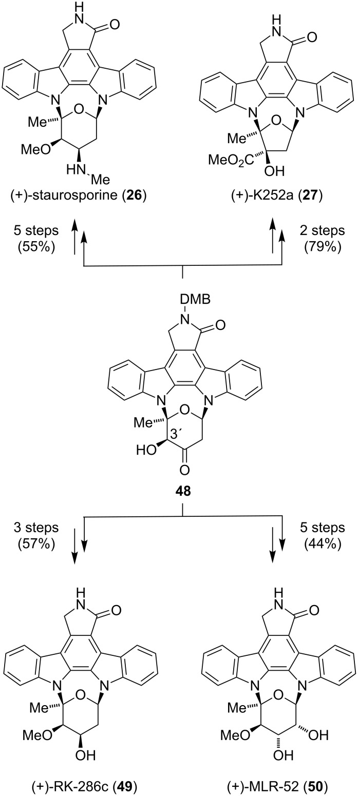 Scheme 5