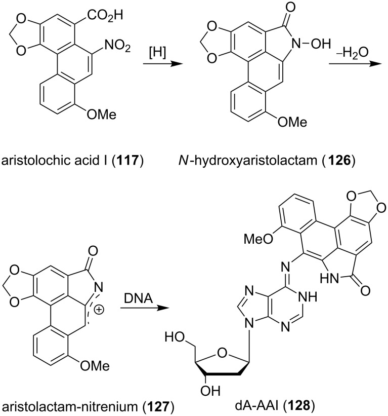 Scheme 15