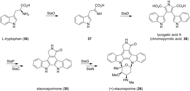 Scheme 3