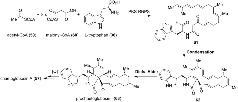 Scheme 6