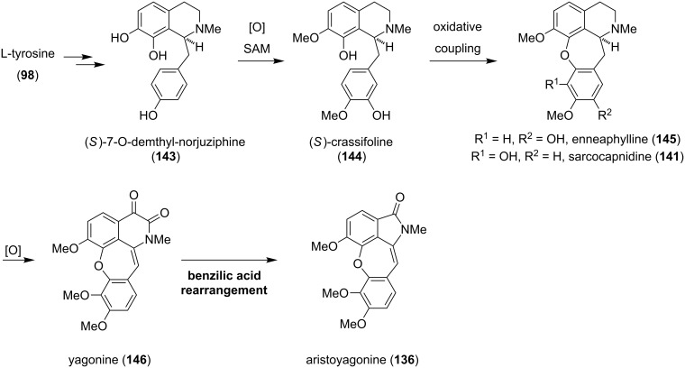 Scheme 18