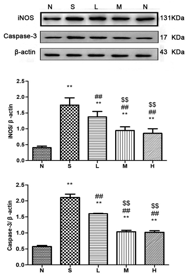 Figure 15.