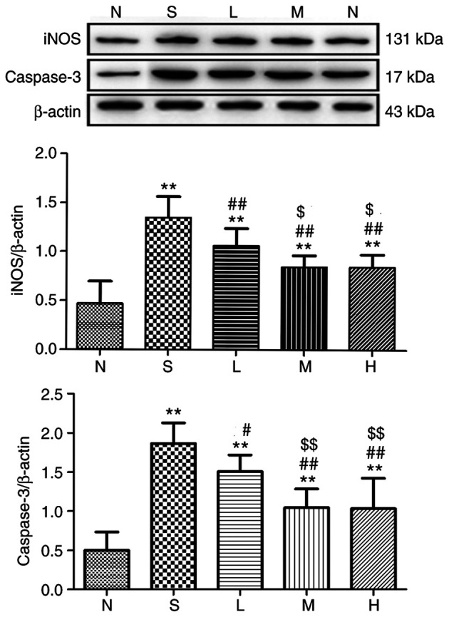 Figure 13.