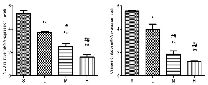 Figure 10.