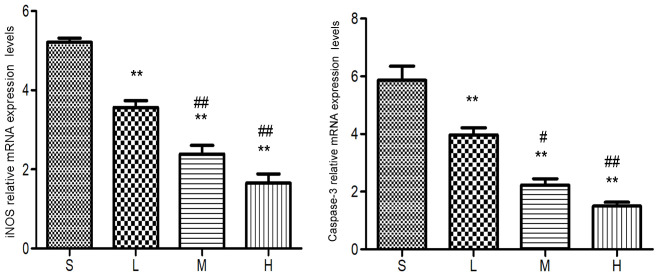 Figure 11.