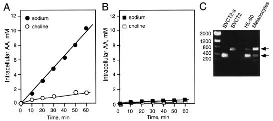 FIG. 5.