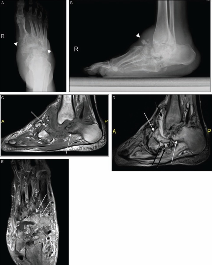 Fig. 10