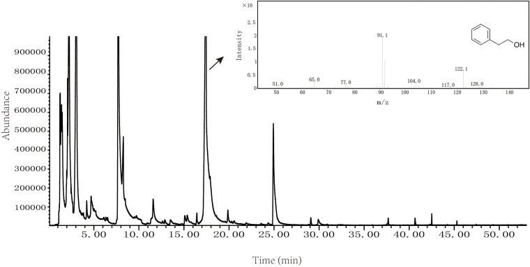 FIGURE 3