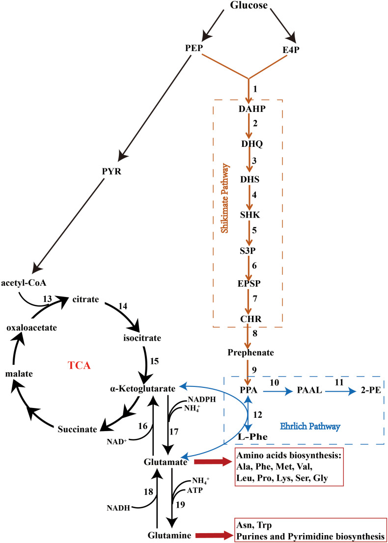 FIGURE 4