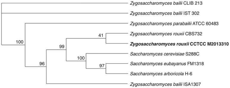 FIGURE 2