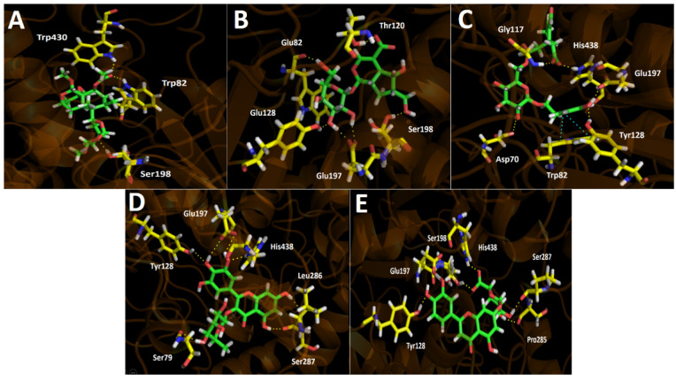 Figure 5