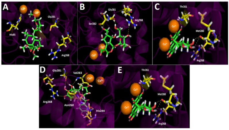 Figure 6