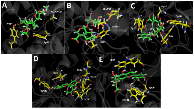 Figure 4