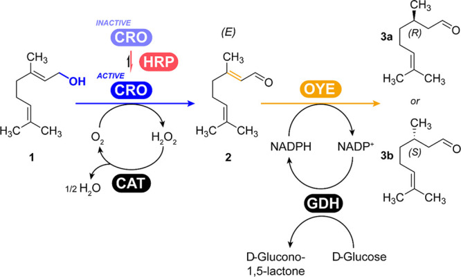 Scheme 1