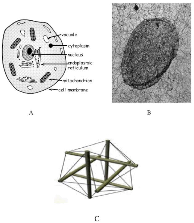 Figure 8