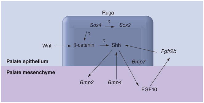 Figure 7