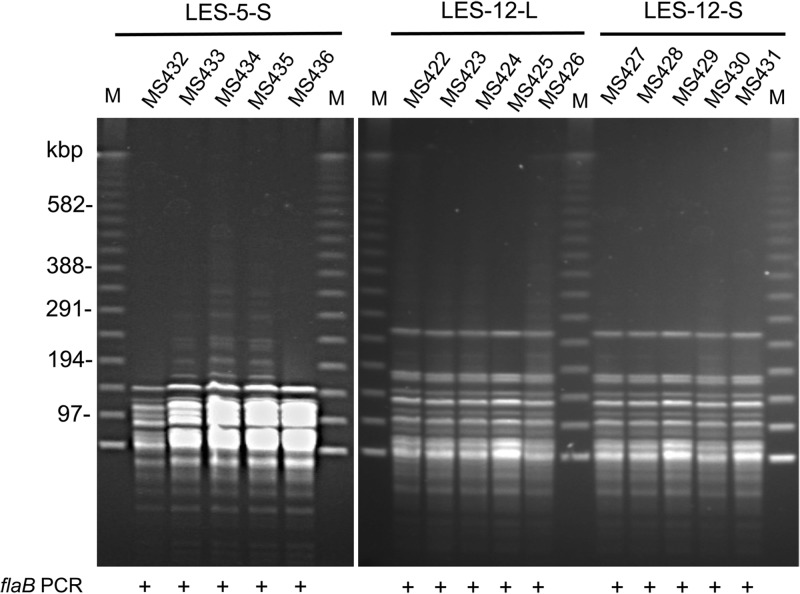 FIG 2