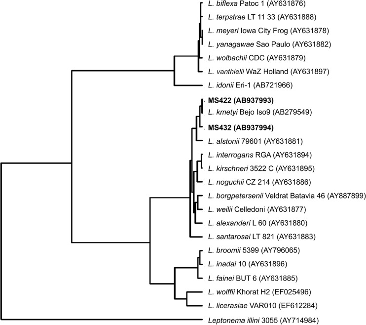 FIG 3