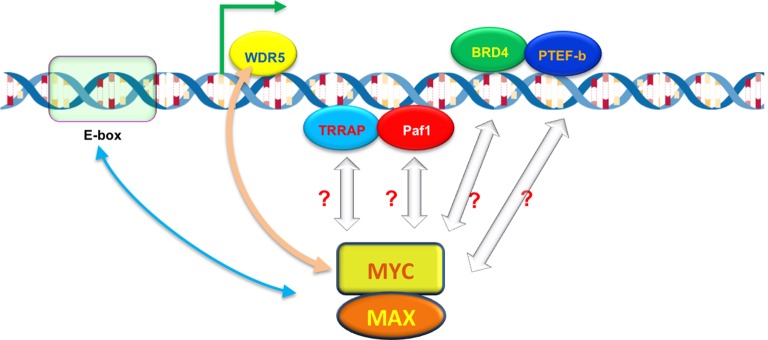 Figure 1.