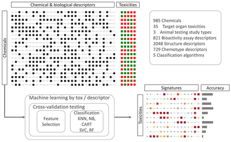 graphic file with name nihms-971768-f0001.jpg