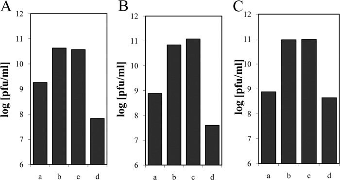 FIG 2