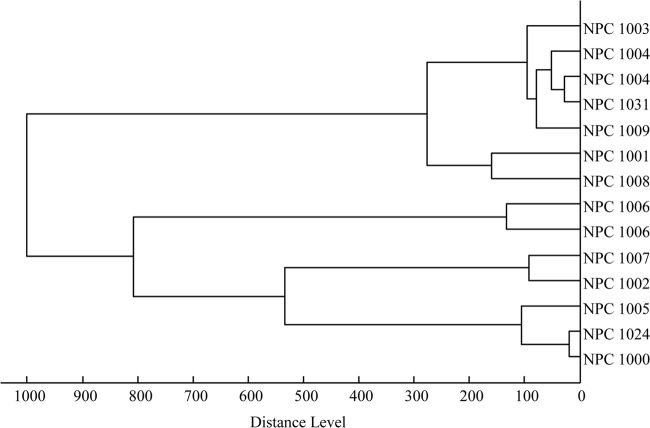 FIG 6