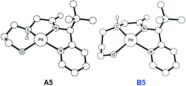 Fig. 5