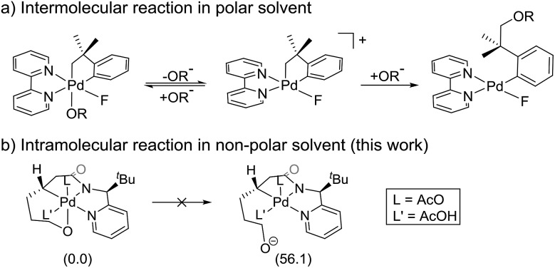 Scheme 3