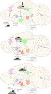 Figure 3: