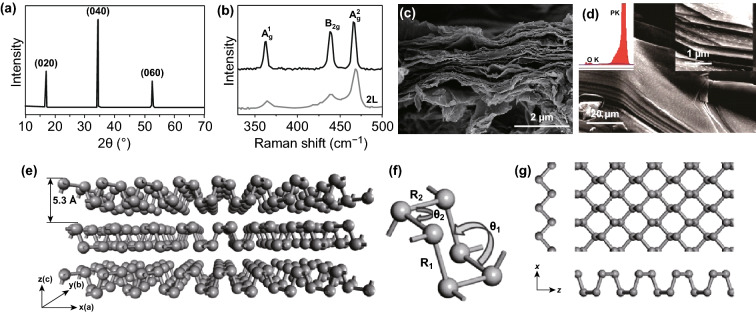 Fig. 4