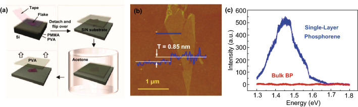 Fig. 1