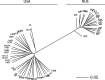 Appendix 3—figure 2.