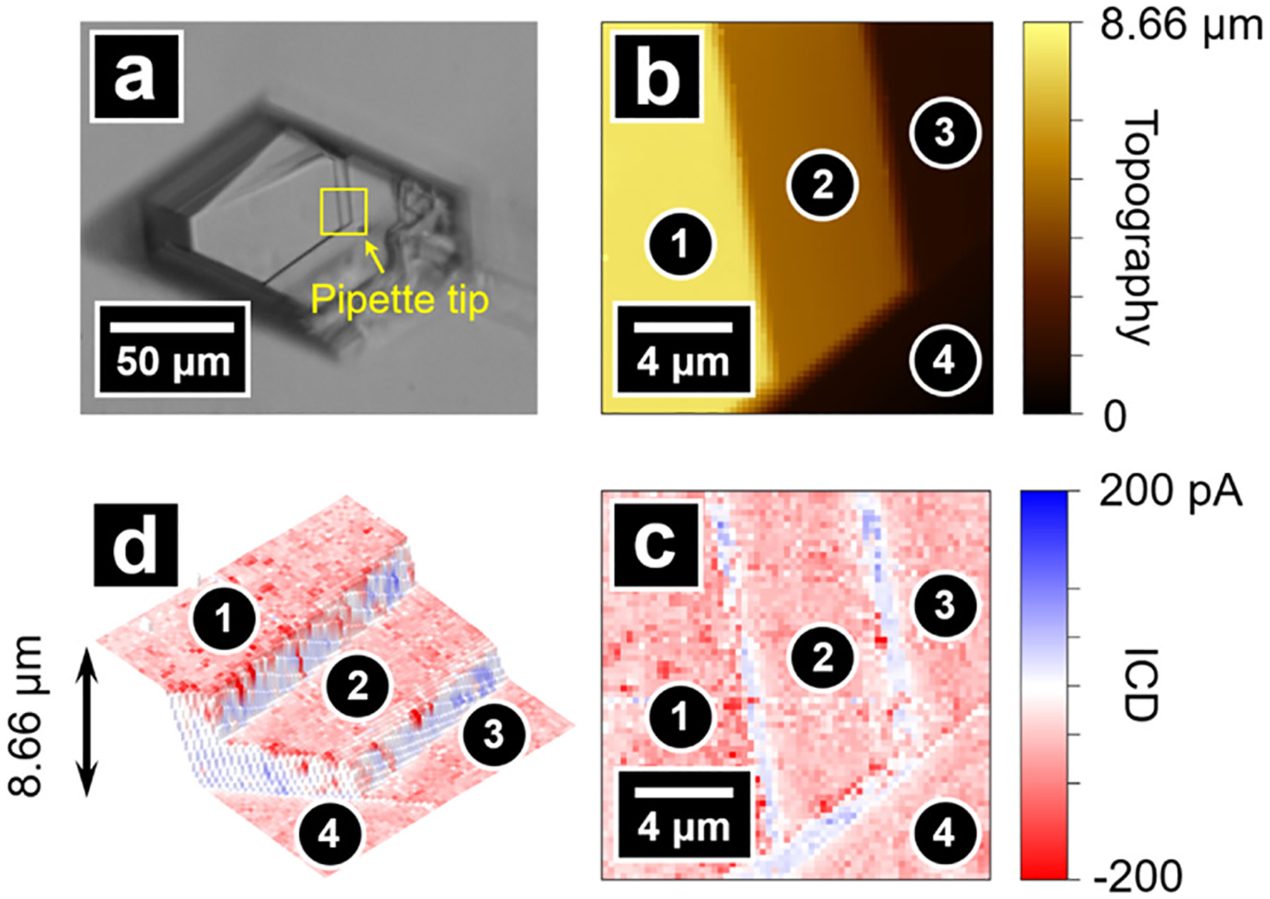 Figure 2.