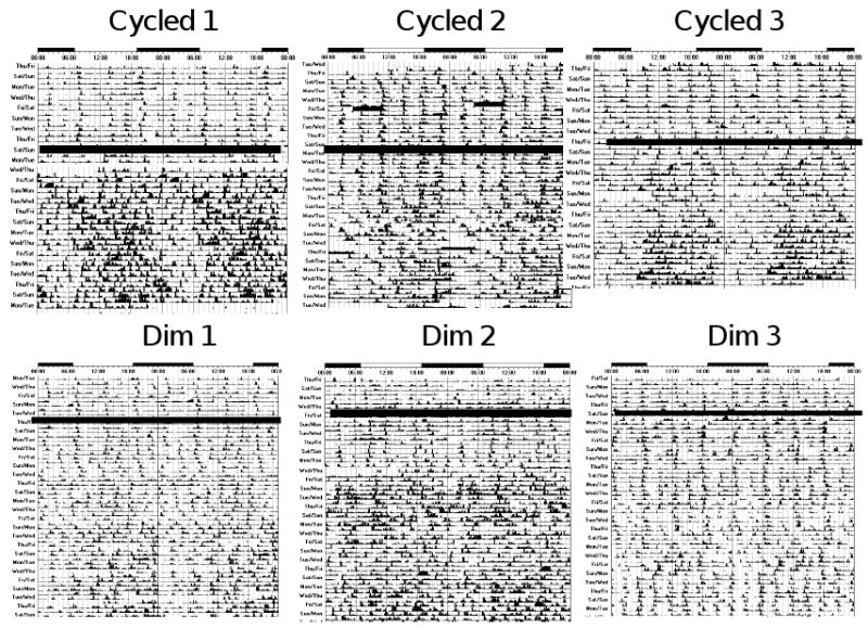 Figure 5