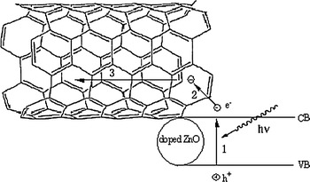 Fig. 8