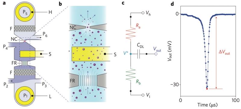 Fig. 2