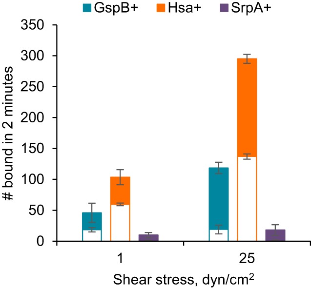 FIG 6