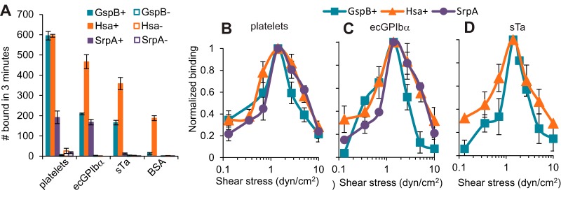 FIG 1